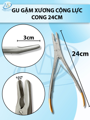 Gu gặm xương cộng lực cong 24cm