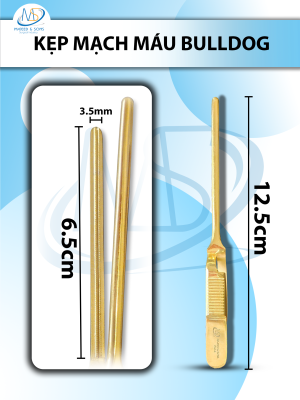 kẹp mạch máu bulldog 12.5cmx3.5mm thẳng (12.5cm D6.5cm R3.5mm)