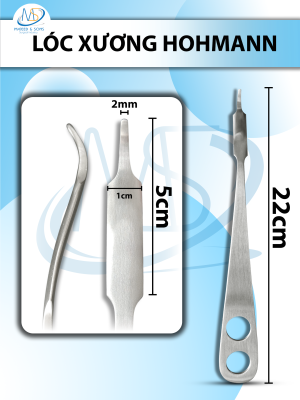 Lóc xương Hohmann Dài 22cm đầu dài 5cm rộng bự 1cm nhỉ 2mm