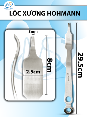 Lóc xương Hohmann Dài 29,5cm đầu dài 8cm rộng bự 2,5cm nhỏ 3mm