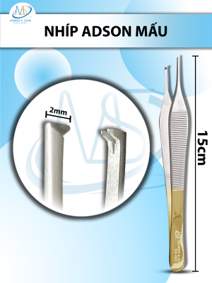 Nhíp Adson 15cm Mấu, đầu nhíp D1.8cmxR1mm